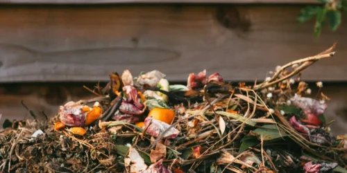 Gezonde voedingsbodem, gezonde oogst